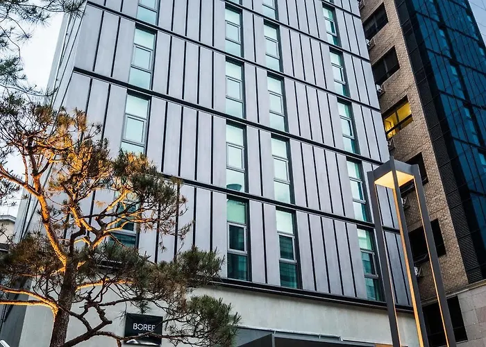 Boree Hotel Gangnam