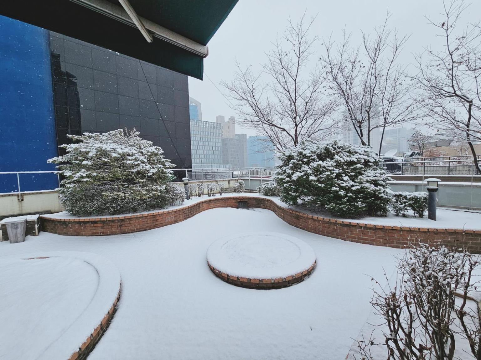 Hostel Ekonomy Myeongdong Premier *
