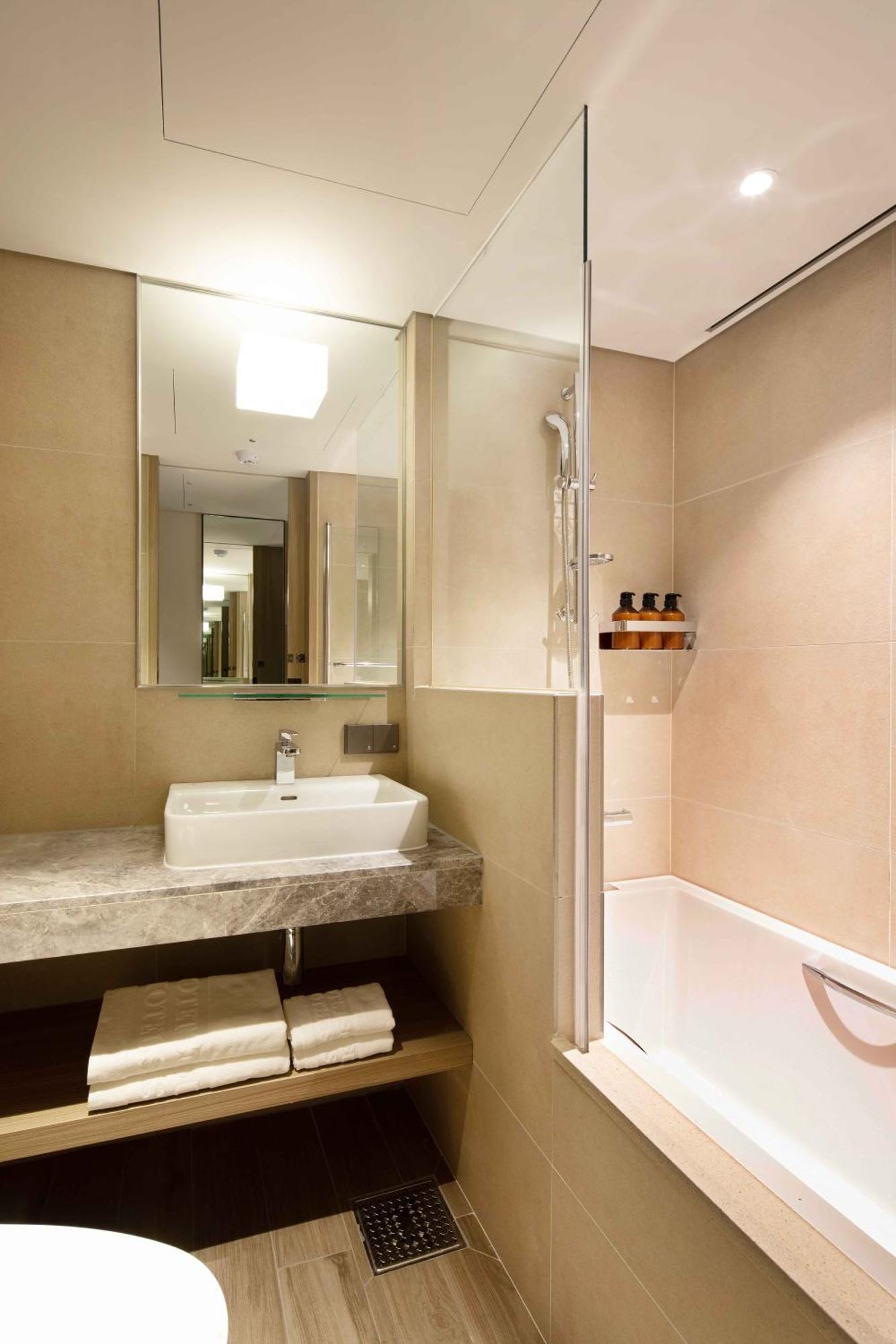Hotel Sotetsu Fresa Myeong-dong Seoul