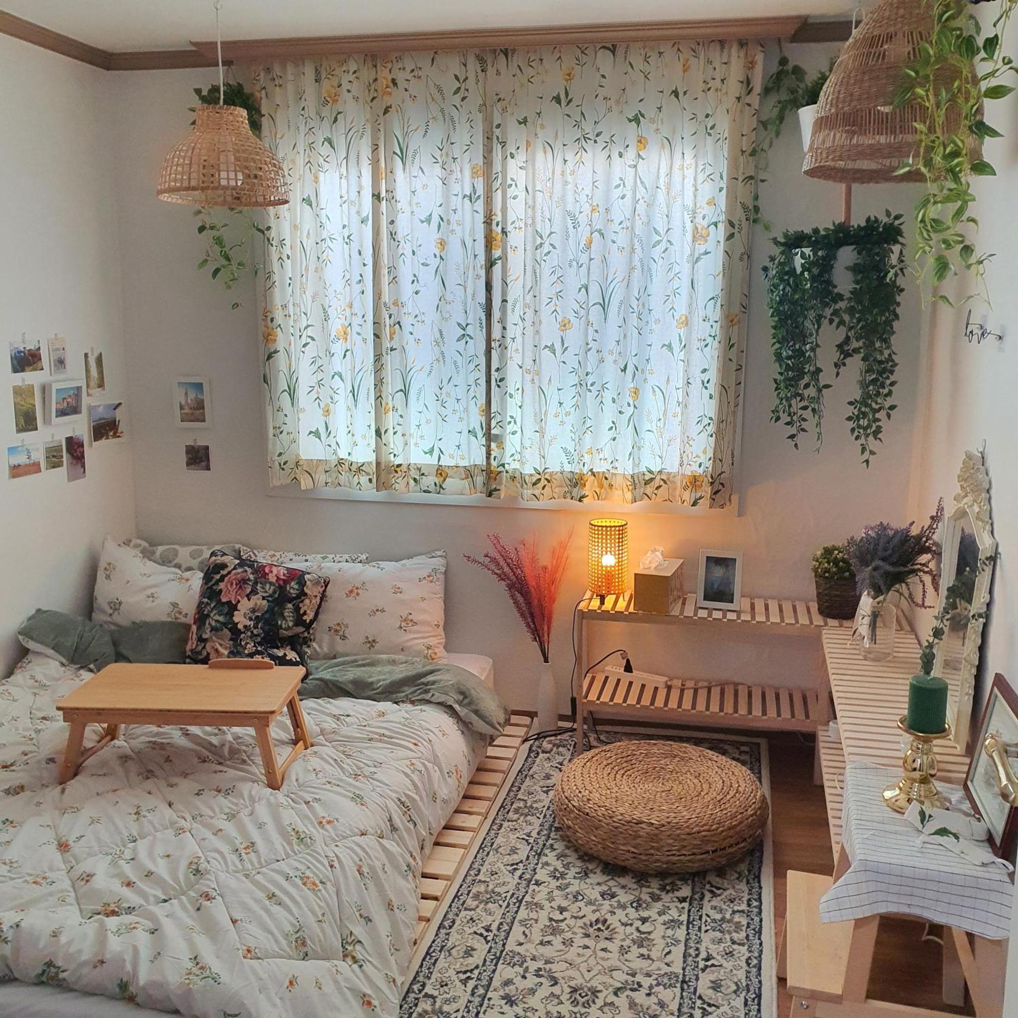 Homestay Vivir *