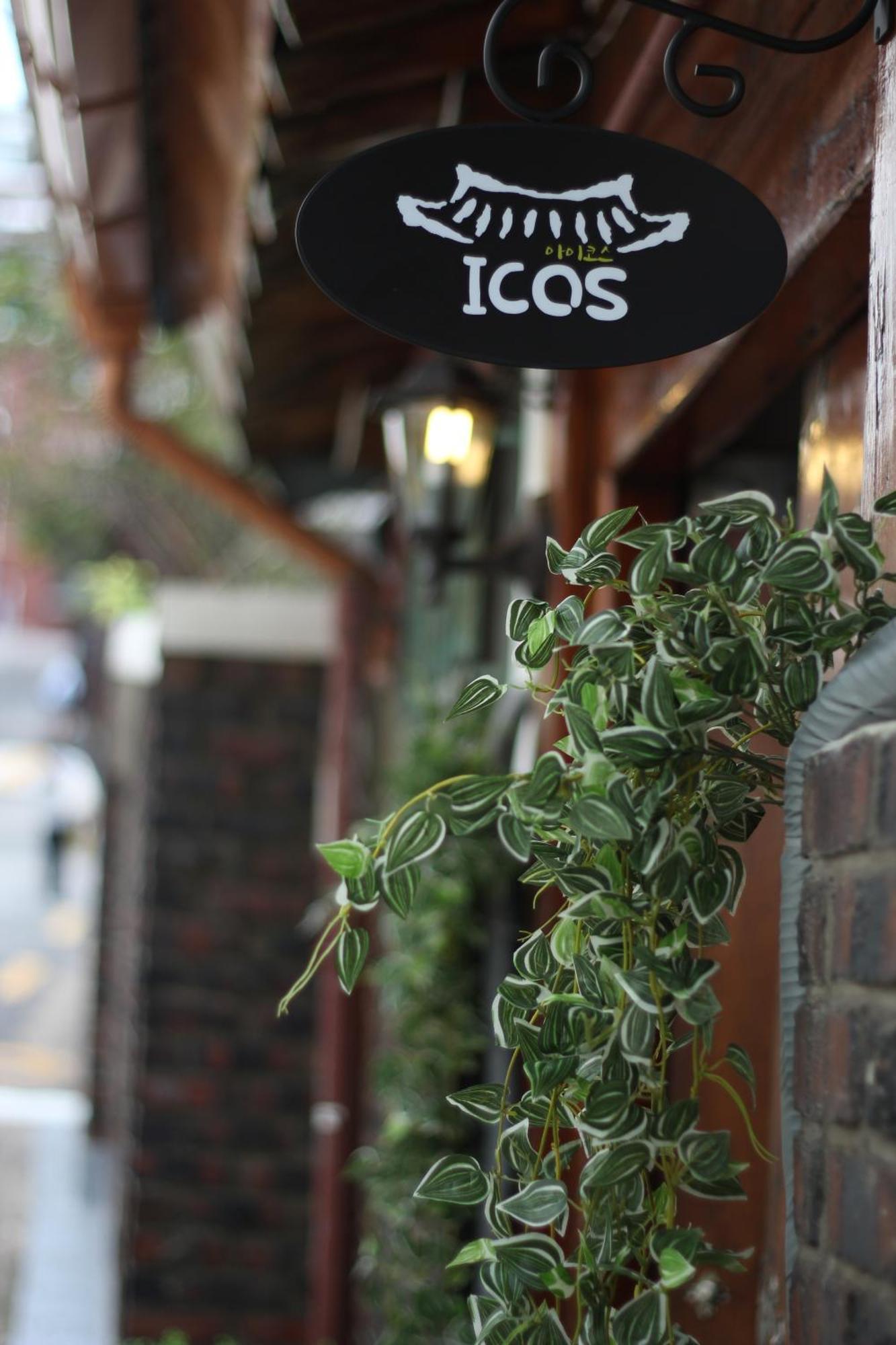Icos 1 - Female Only 2*