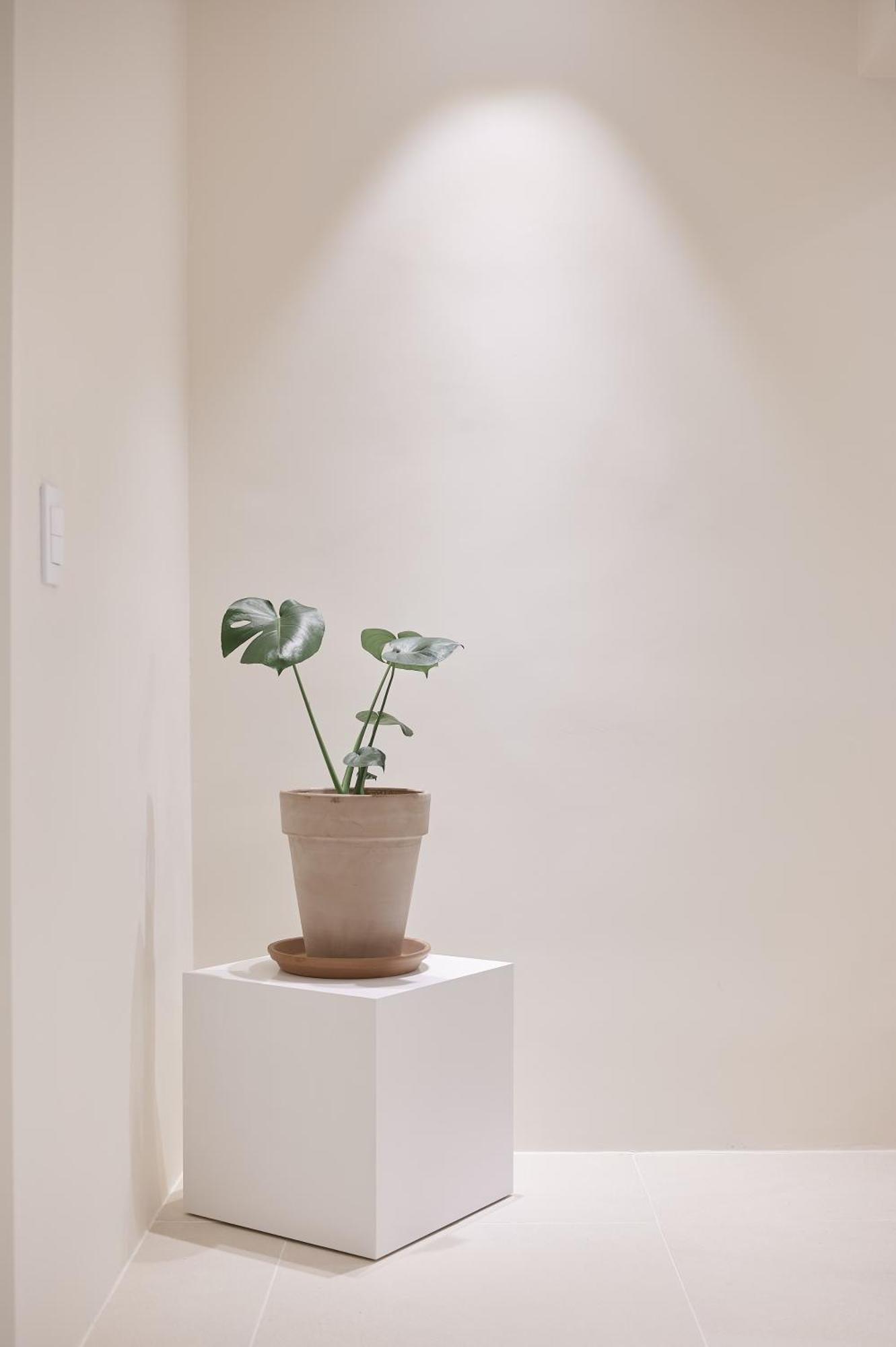 White Linen House Seoul