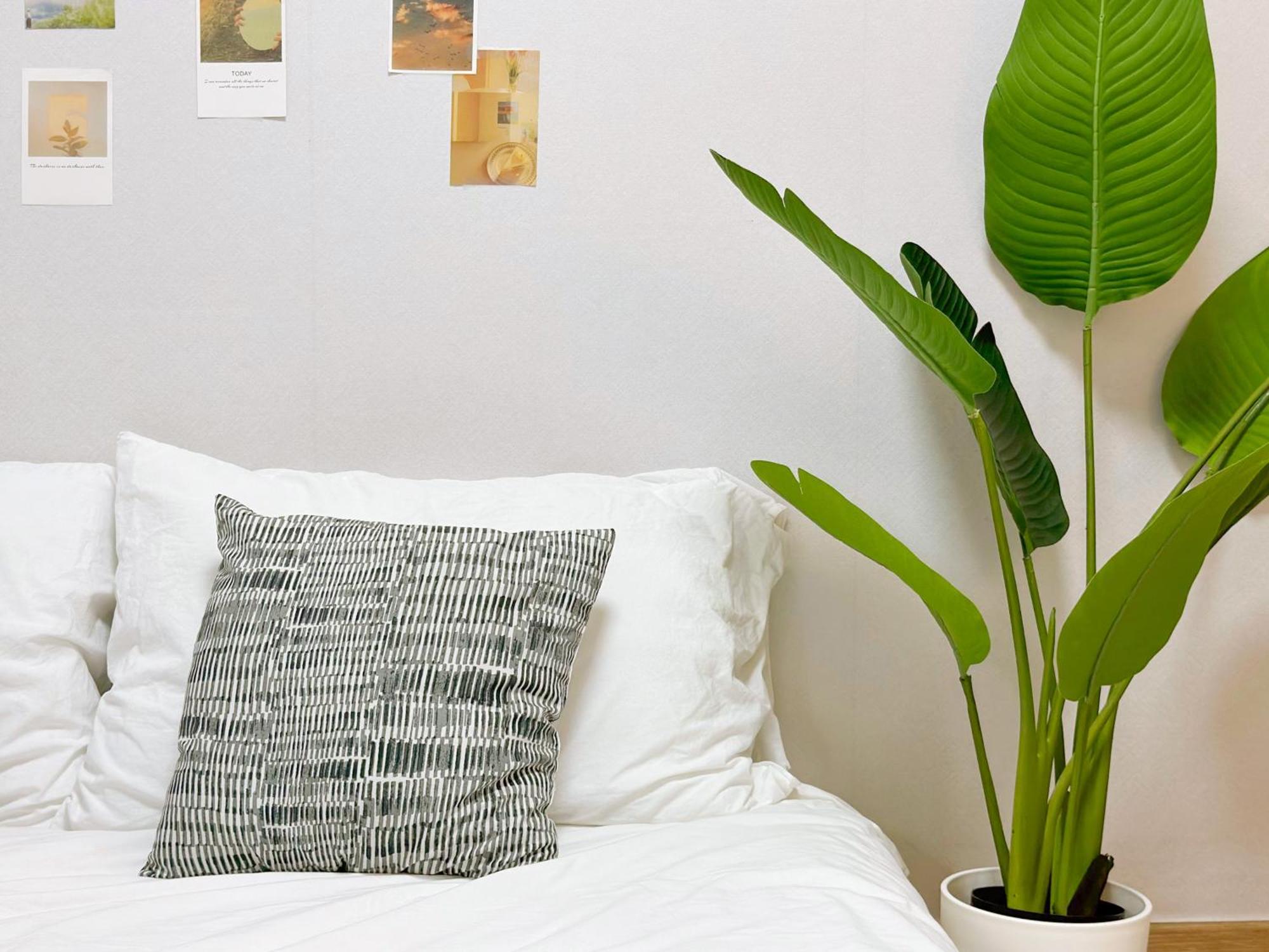 Su's House In Mapo Apartment *