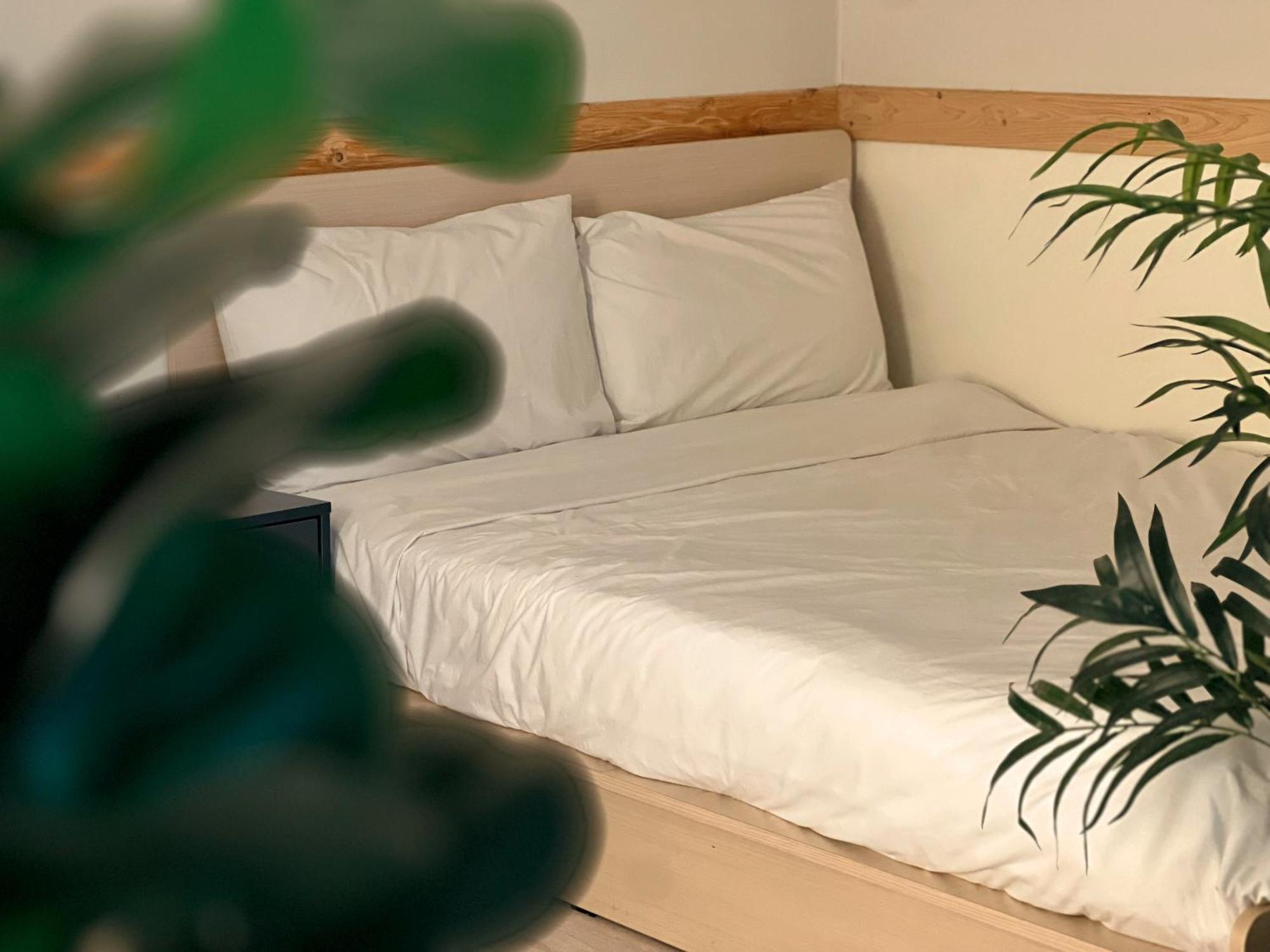 Jnineguesthouse