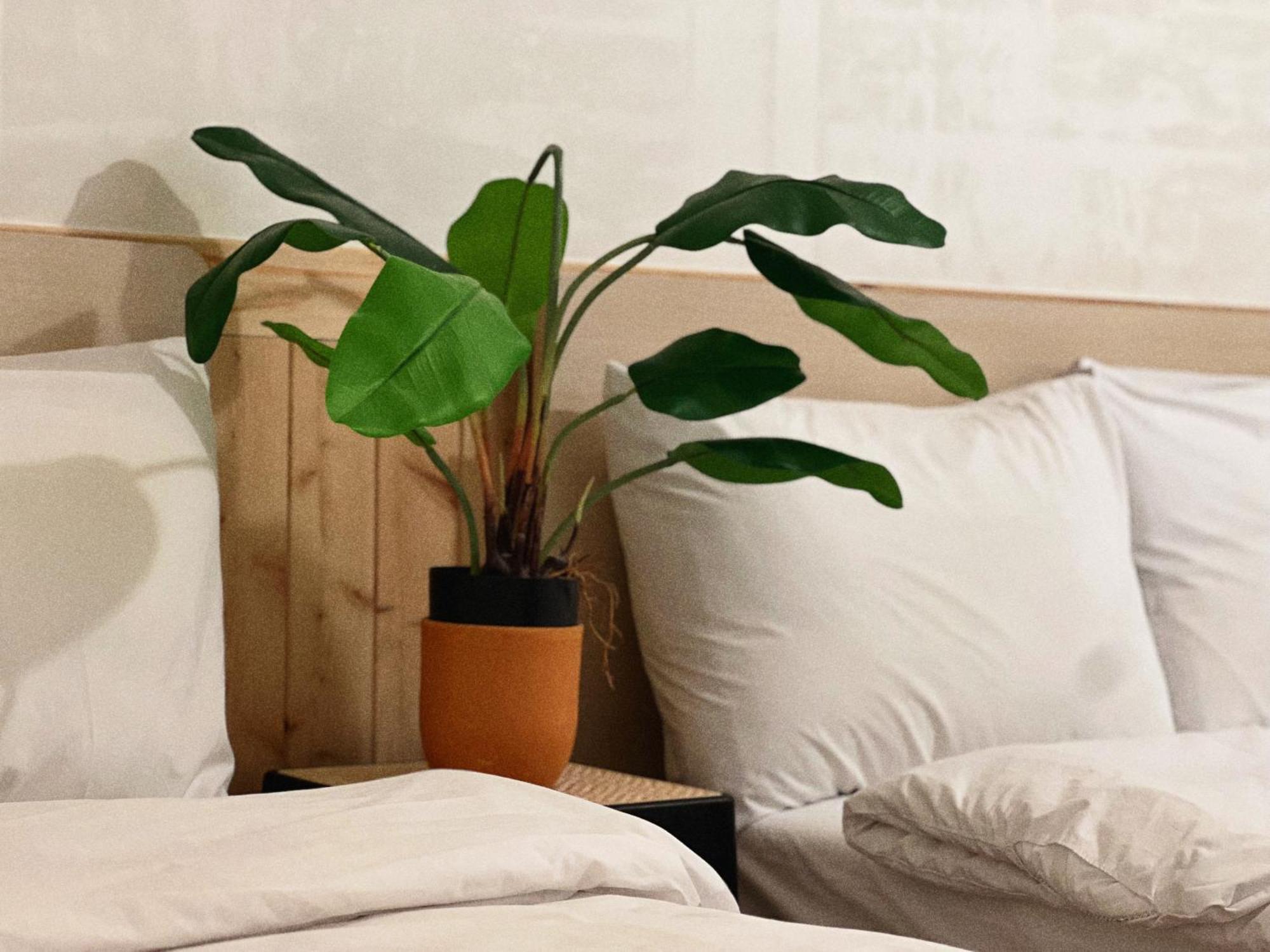 Jnineguesthouse Guest house