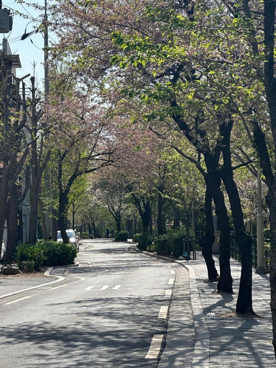 Villa J-stay Near Hongik Univ In Seoul! Seoul