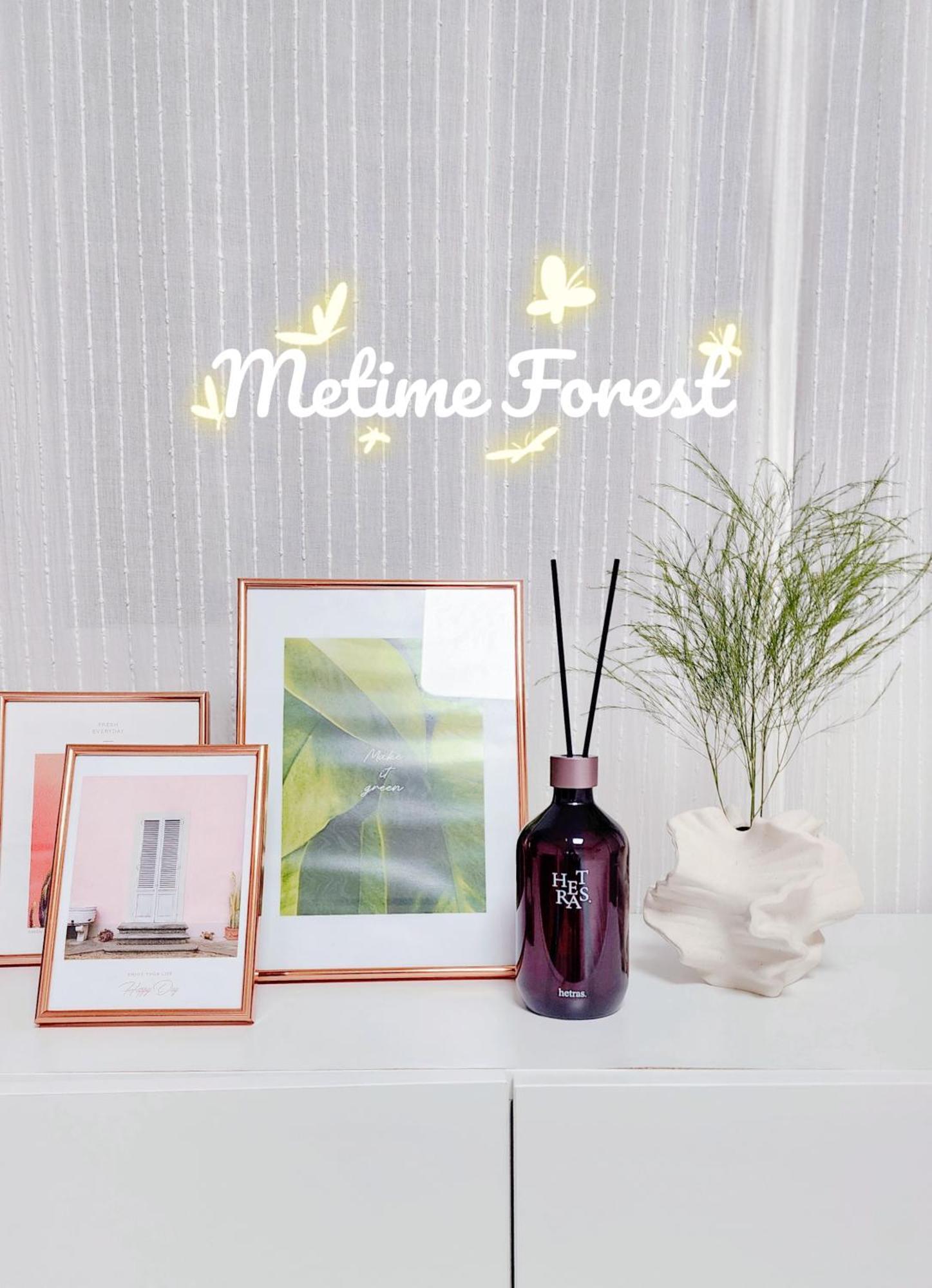 Metime Forest Apartment