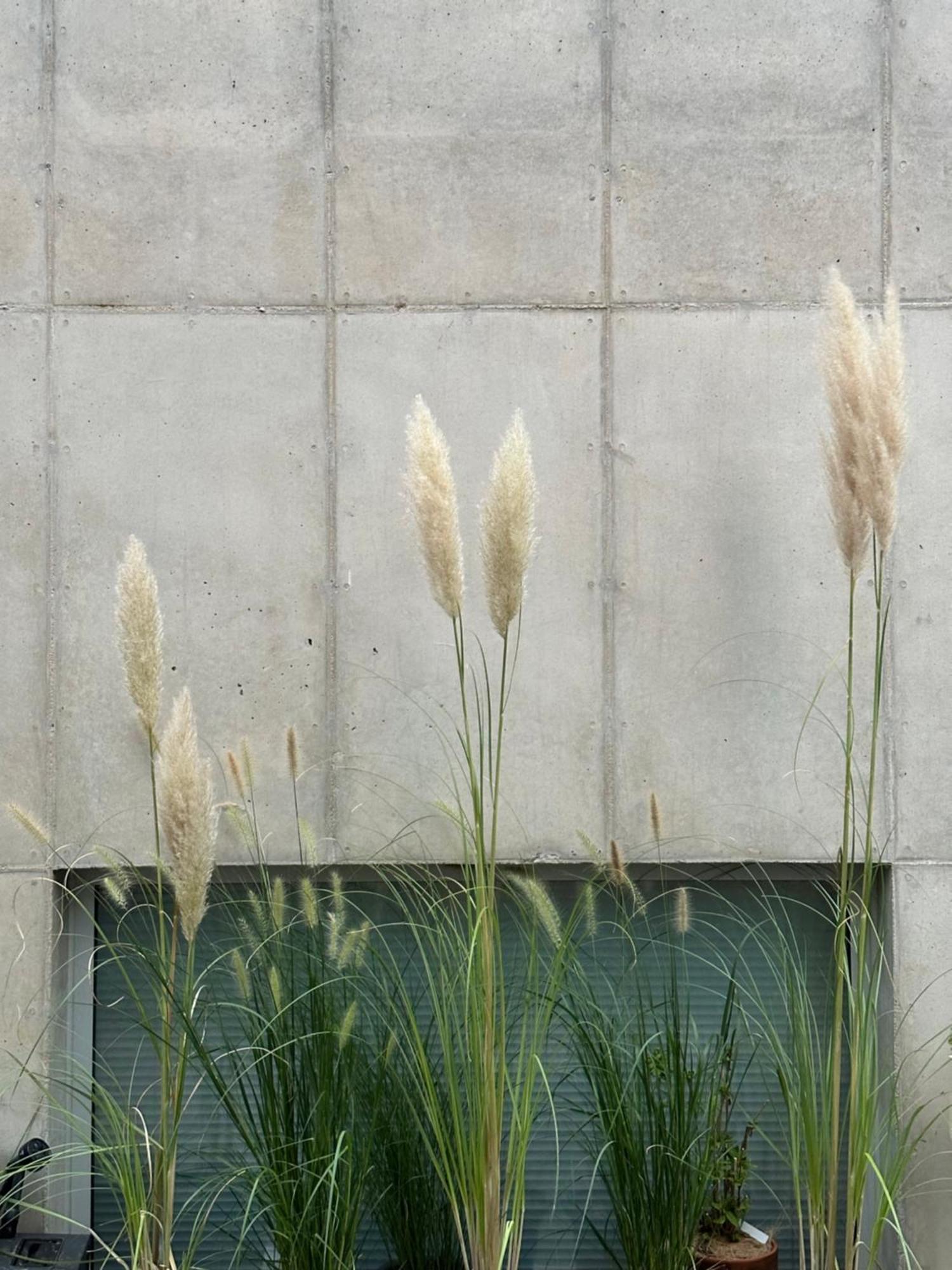 Kwansook Villa Seoul