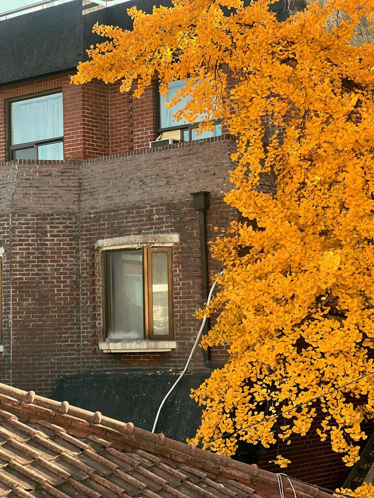 Jnineguesthouse