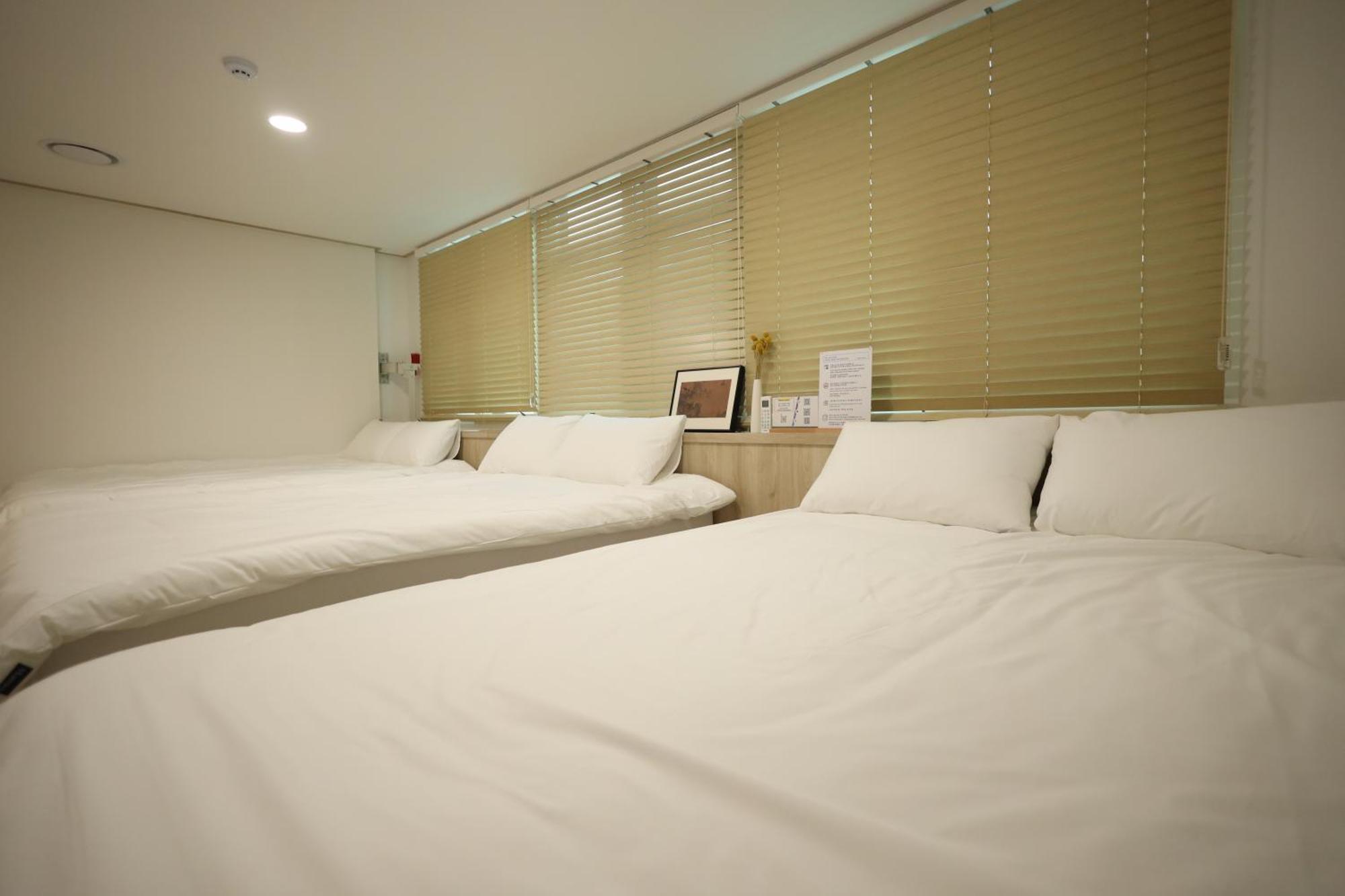 Hostel Manso In Ddp *