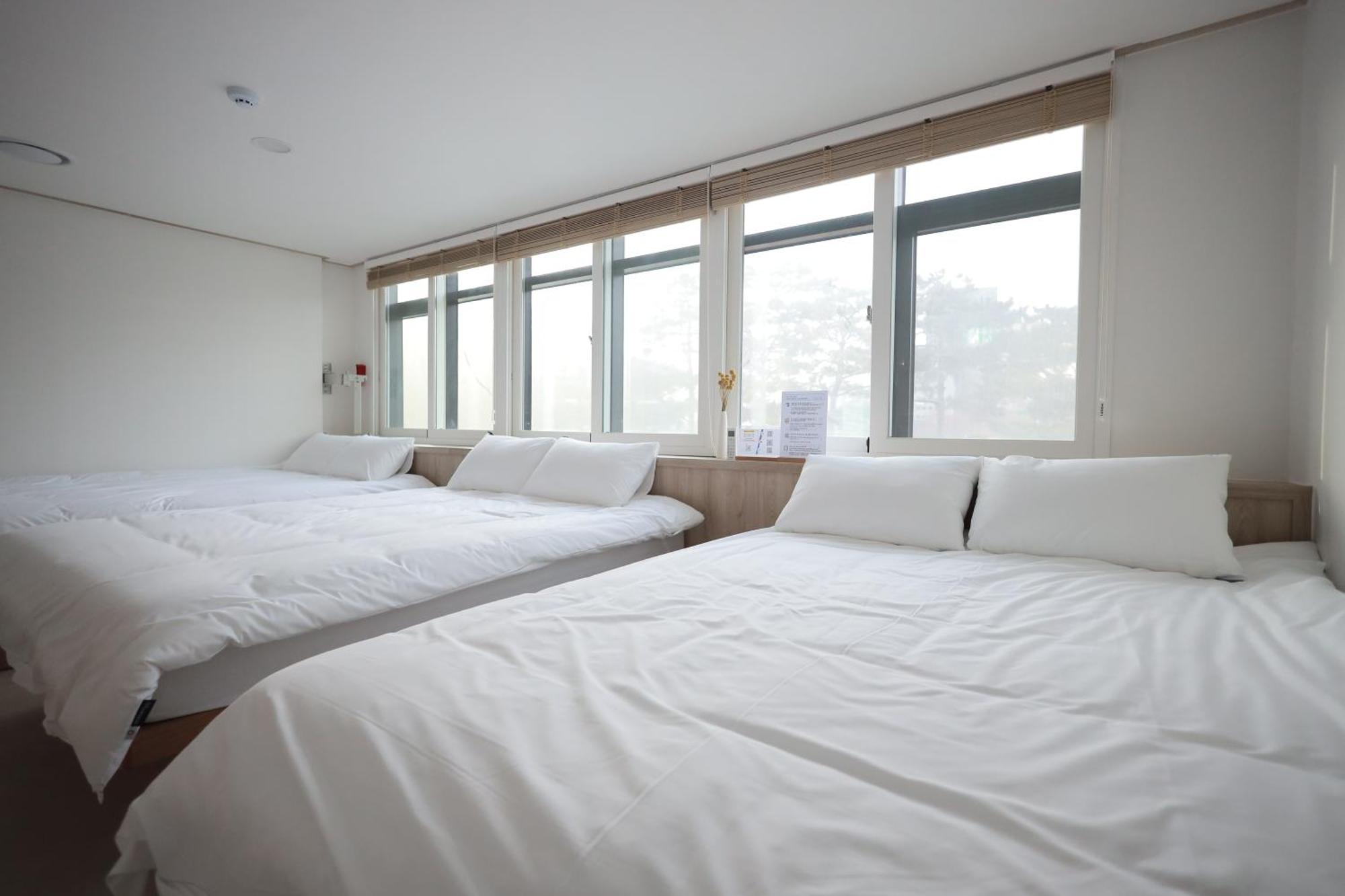 Hostel Manso In Ddp *