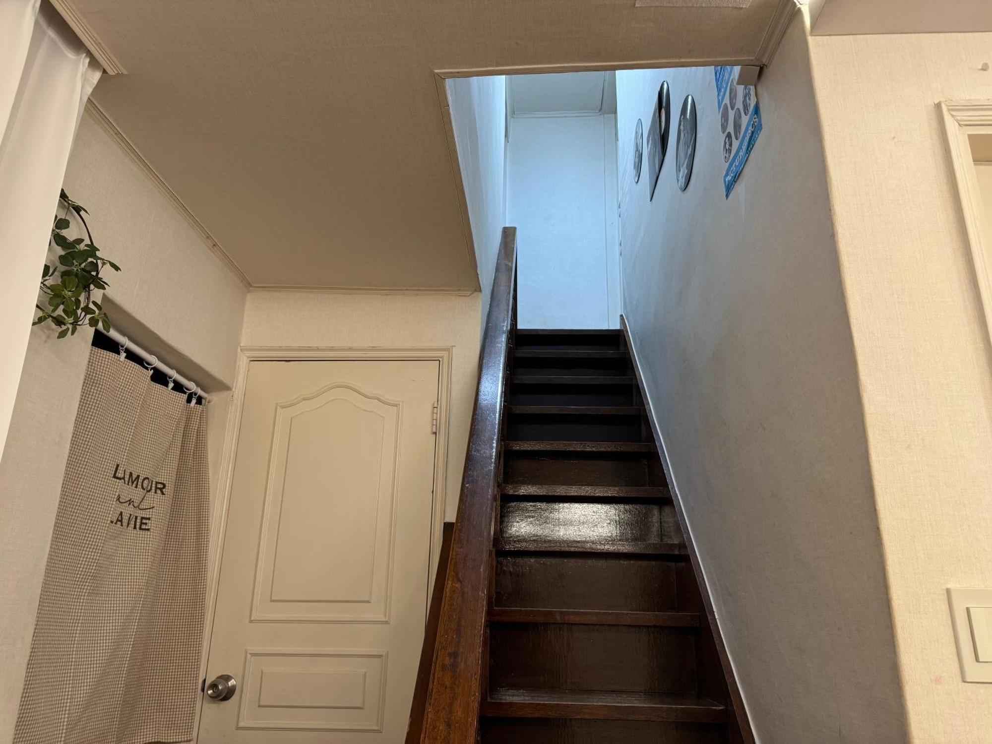 Apartment Pachira House