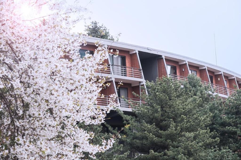 Walkerhill Douglas House (adults Only) Hotel