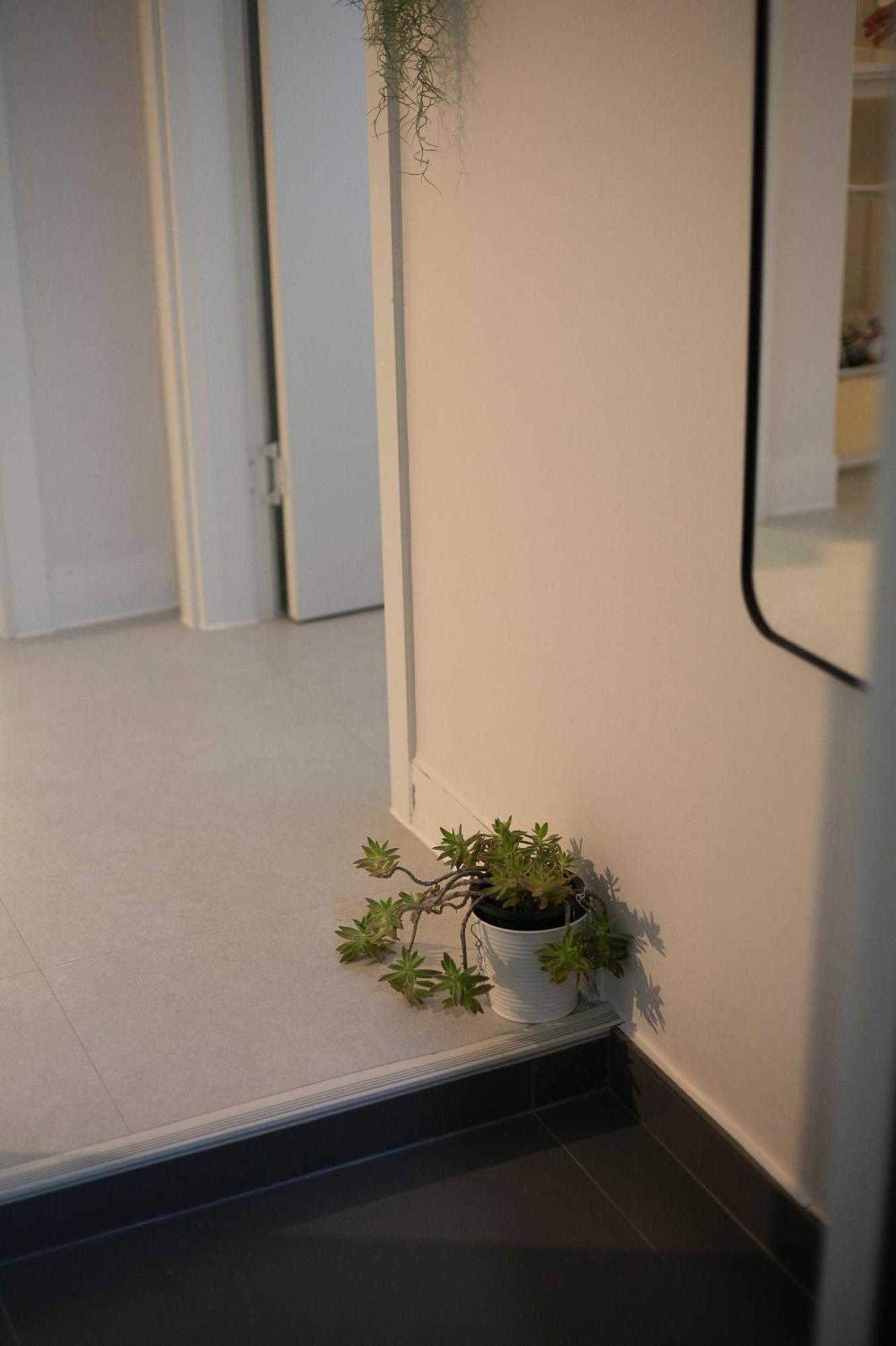 Villa Staymuk Seochon, Center Of *