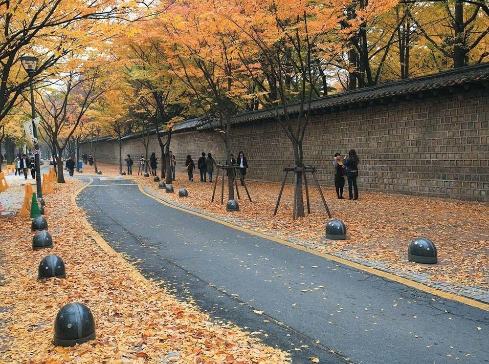 Hostel 24 Hall Seoul