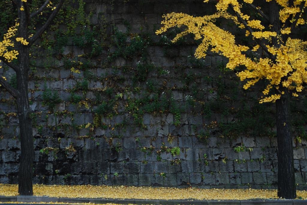 Casa de hóspedes Sodam Hanok Seul