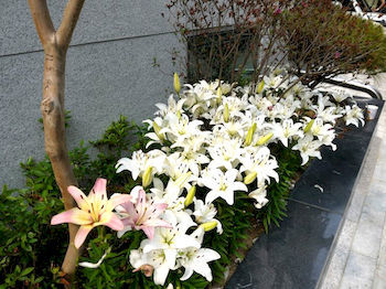 Apartment Bb Hongdae Seoul