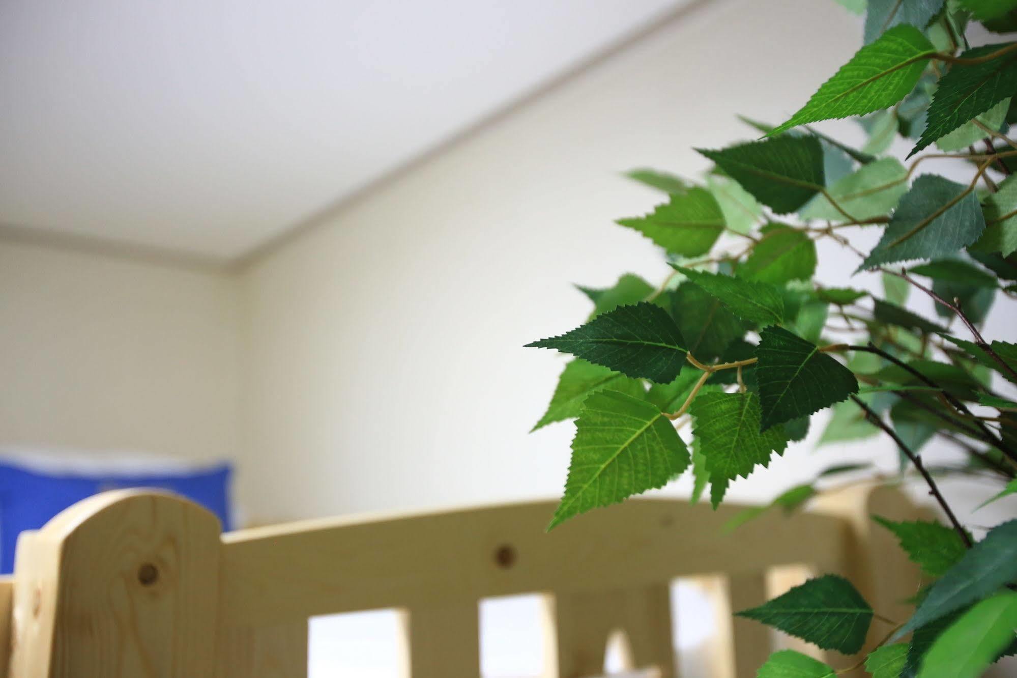 Peanut Hostel Seoul