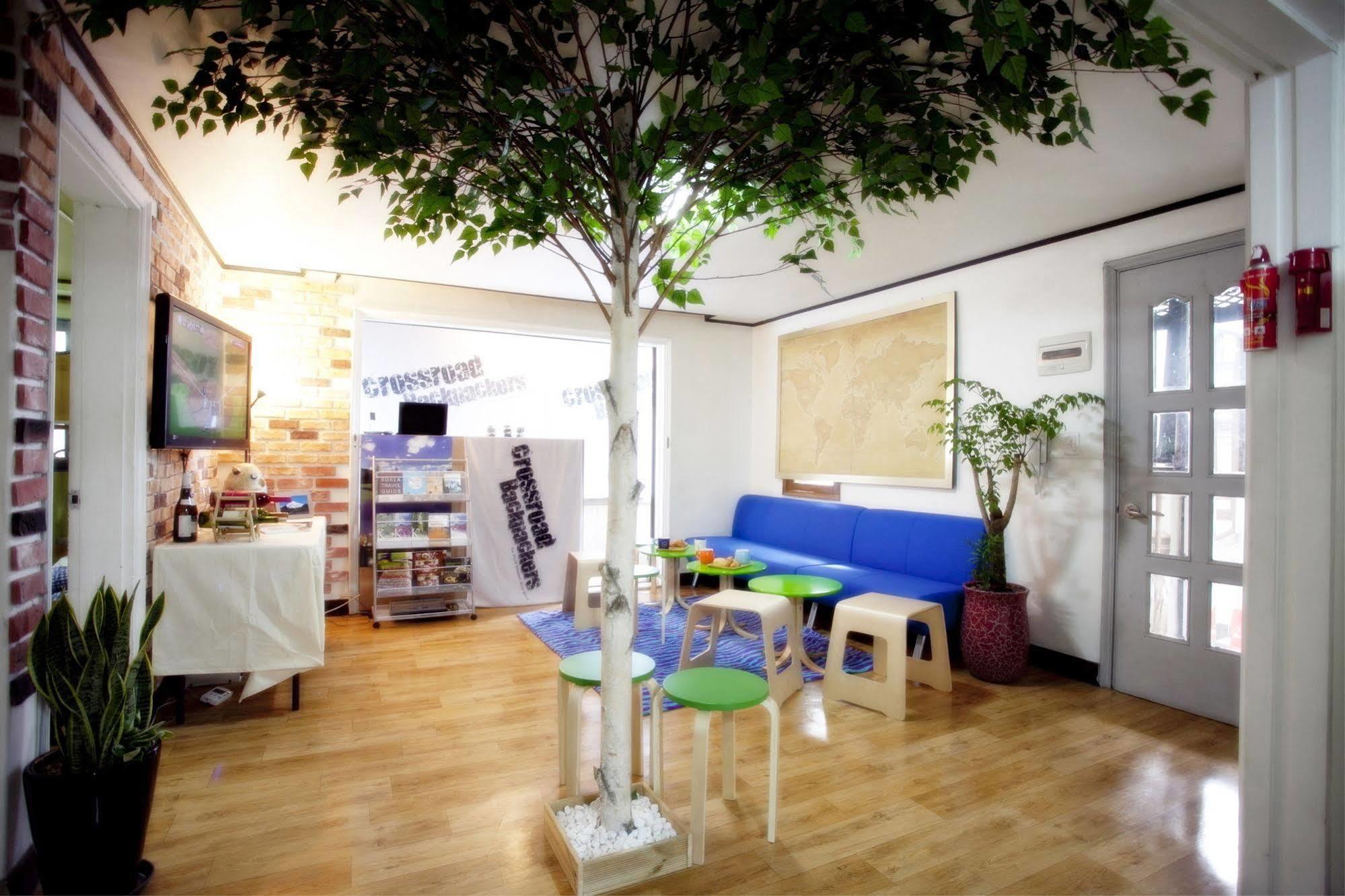 Bunk Backpackers Guest house