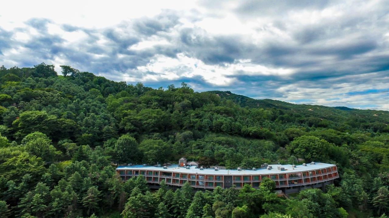 Walkerhill Douglas House (adults Only) Hotel 5*