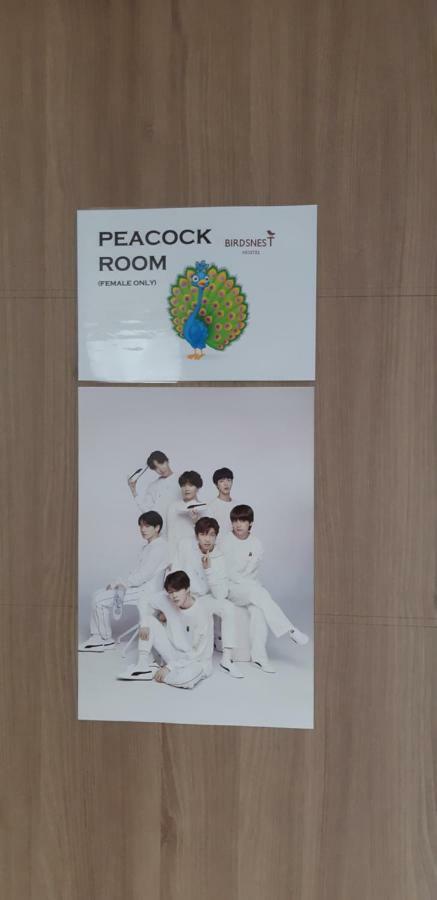 Birdsnest Hongdae Foreigner Only * Seoul