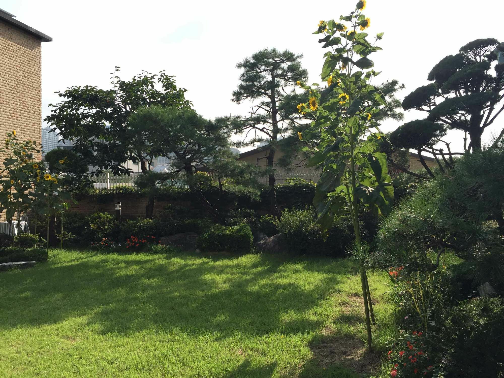 Puzzlestay House Guest house 2*