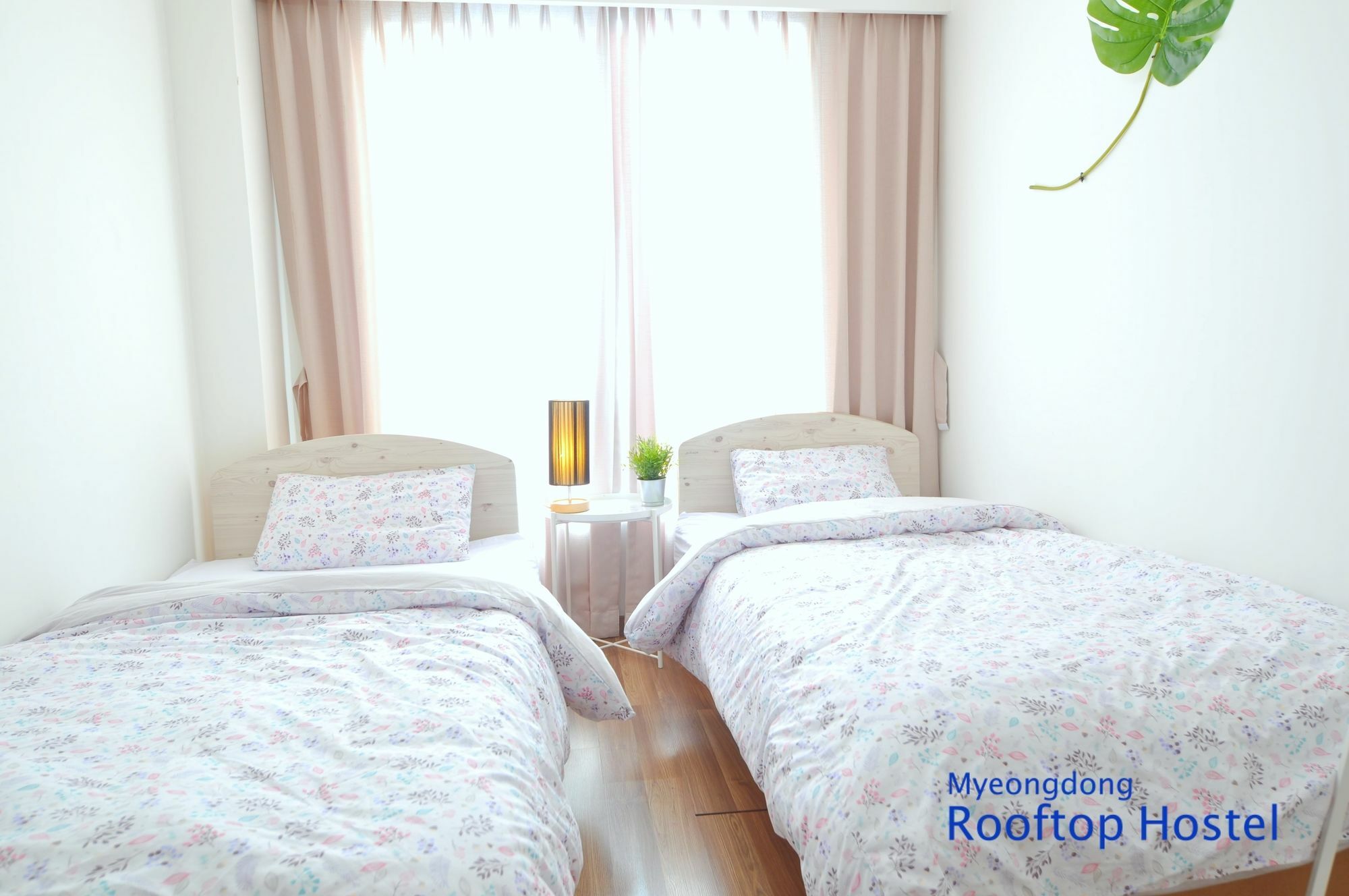 Hostel Myeongdong Rooftop Seoul