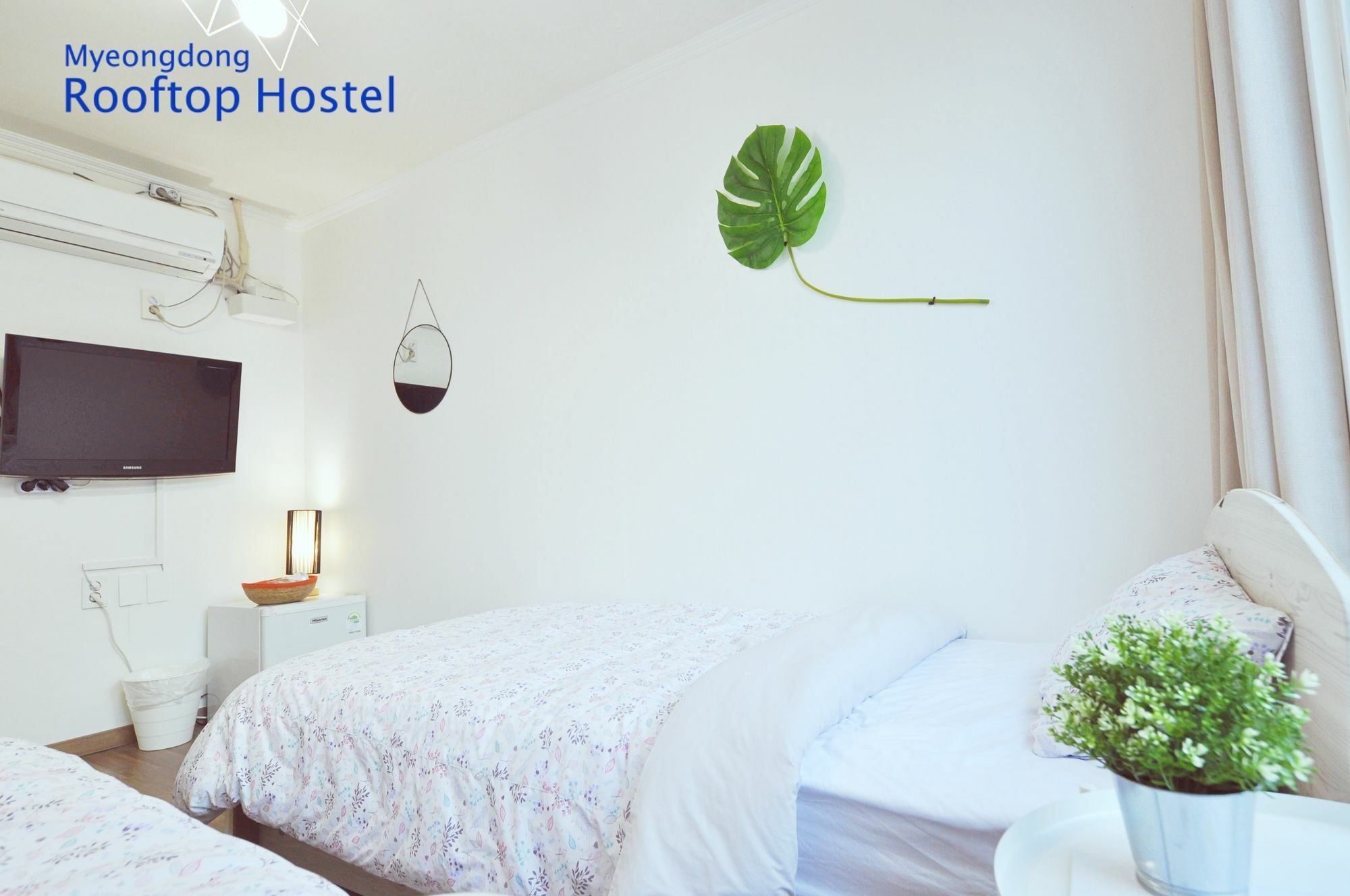 Myeongdong Rooftop Hostel *