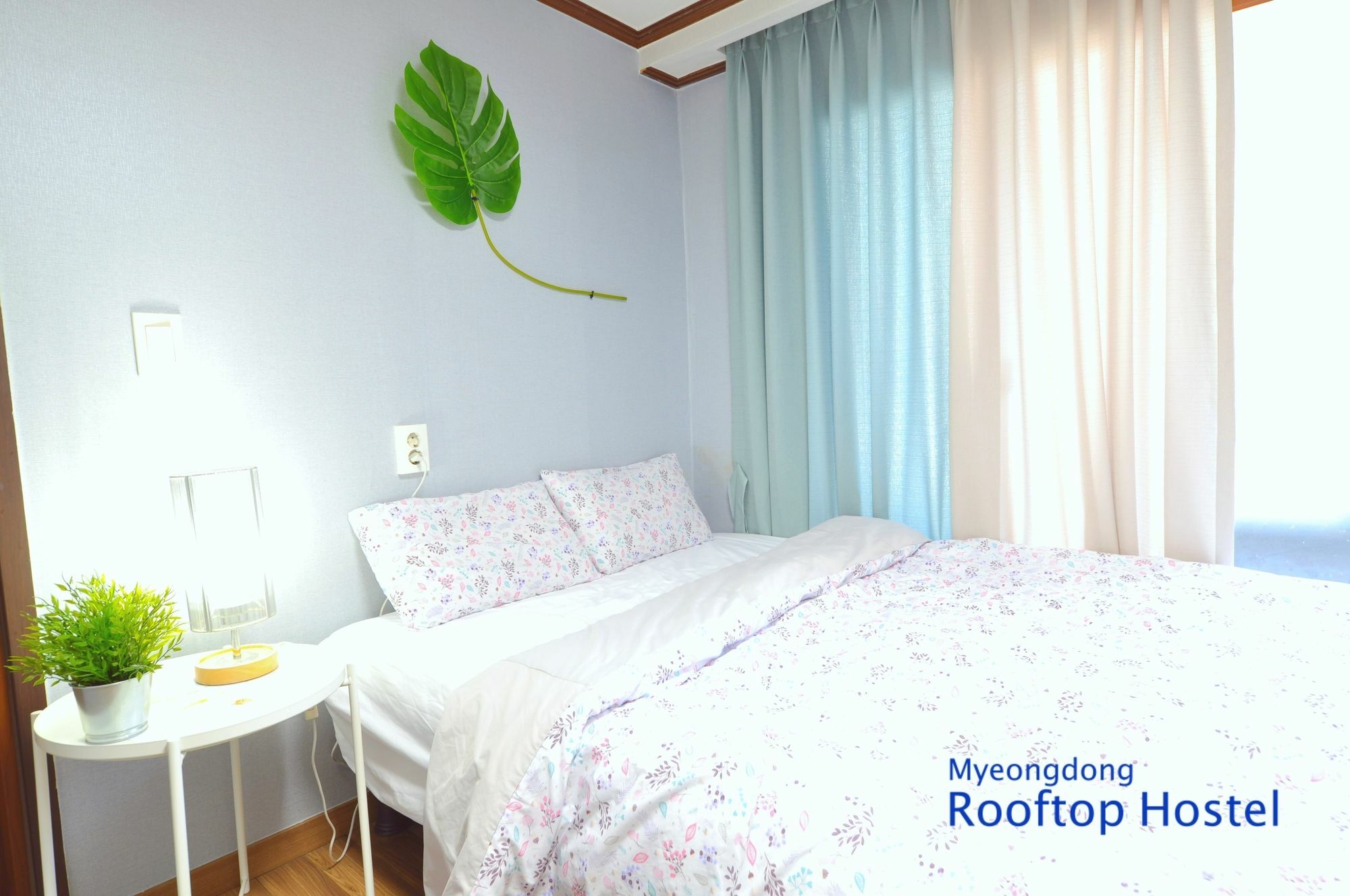 Hostel Myeongdong Rooftop *