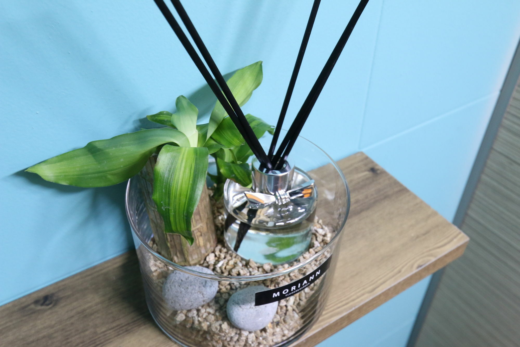 Rumah tetamu Hongdae Nanu Kpop 2*