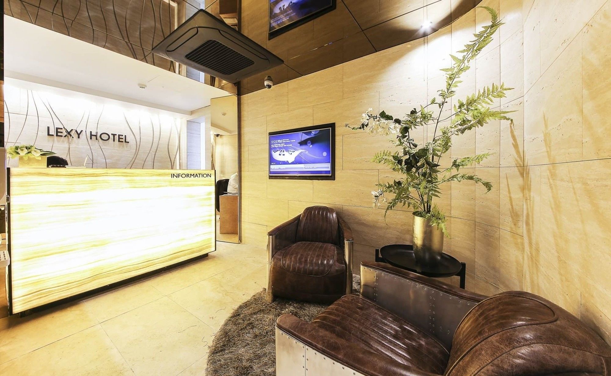 Hotel Lexy