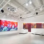 Hotel Anteroom Seoul