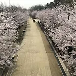 Seoul Forest Guesthouse