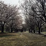 Seoul Forest Guesthouse
