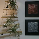Refee House
