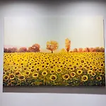 Heima Guesthouse Hongdae