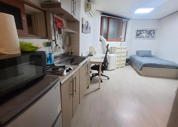 Newly Renovated Cozy Studio#9