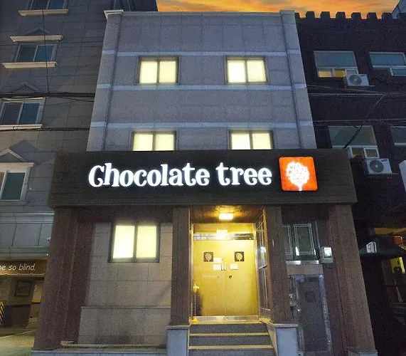Chocolate Tree Sinchon