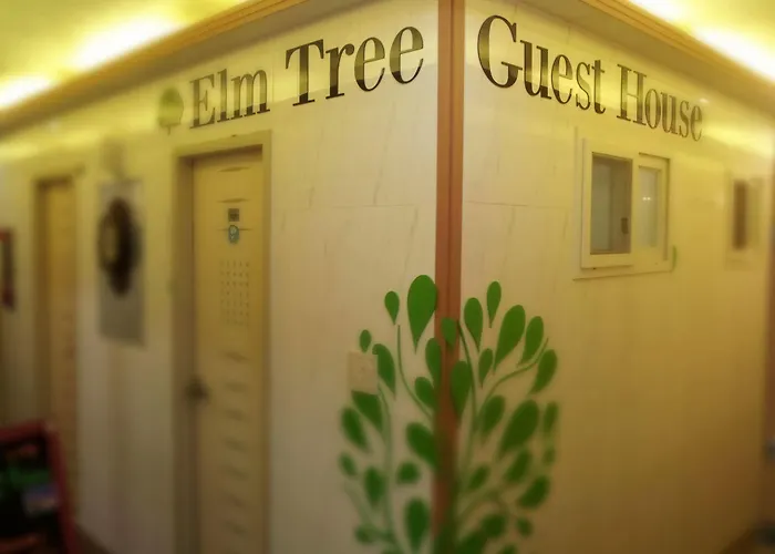 Elm Tree Guest House Myeongdong