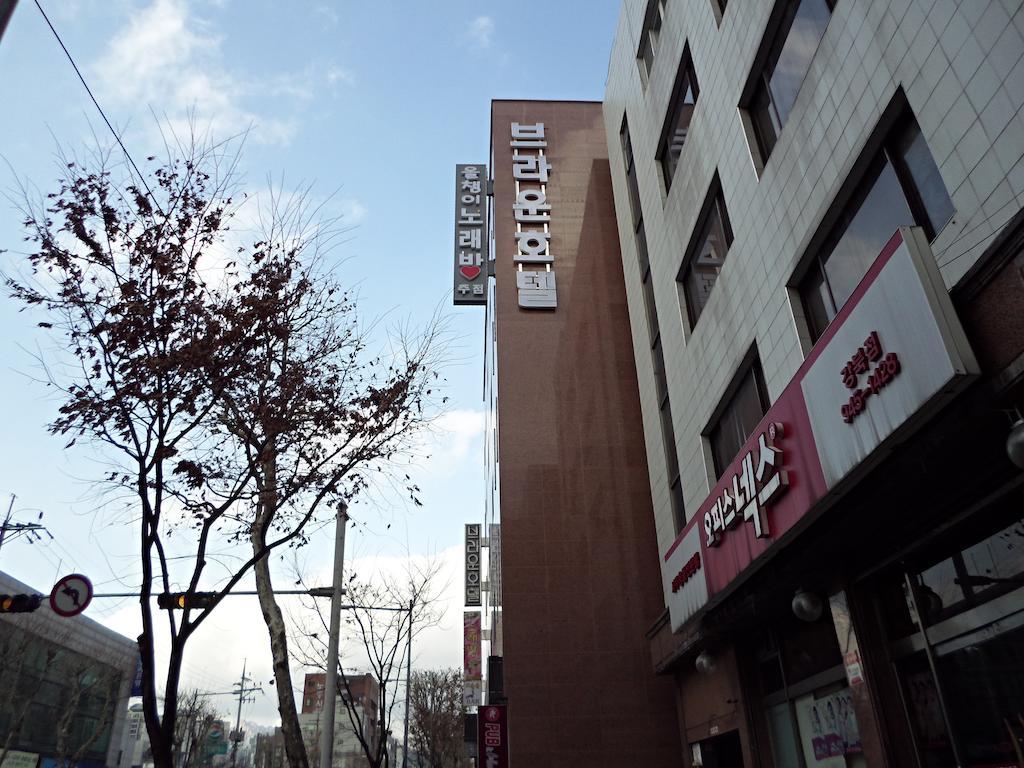 Brown Tourist 3* Seoul