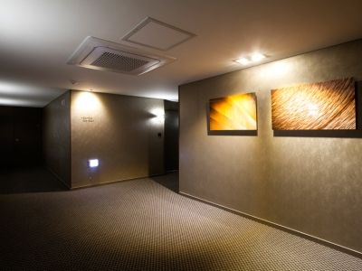 The Grand Myeongdong Hotel 3*