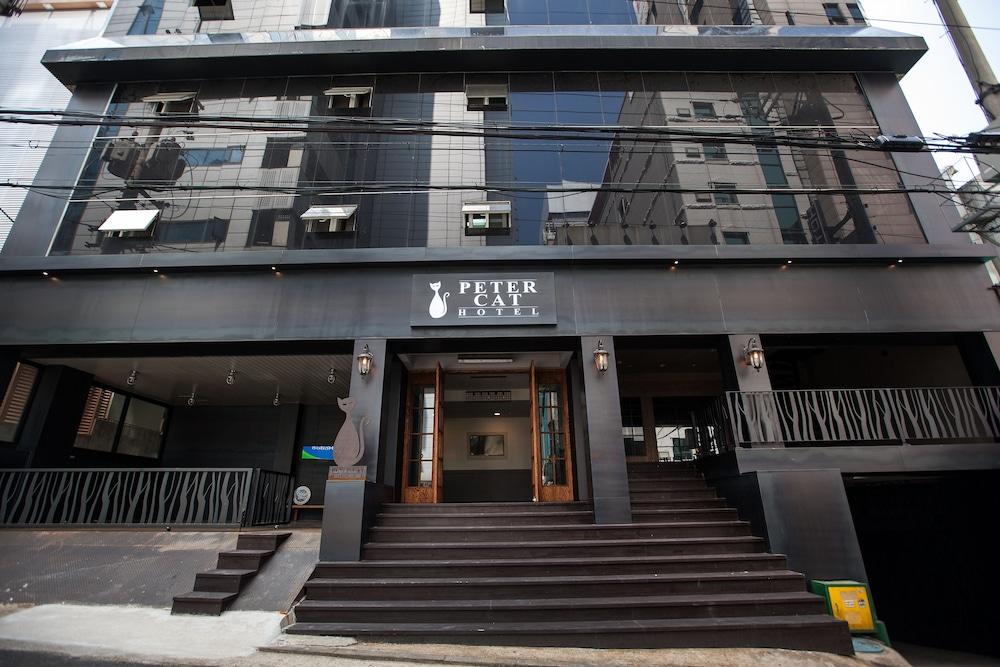 Petercat Shinchon 3*