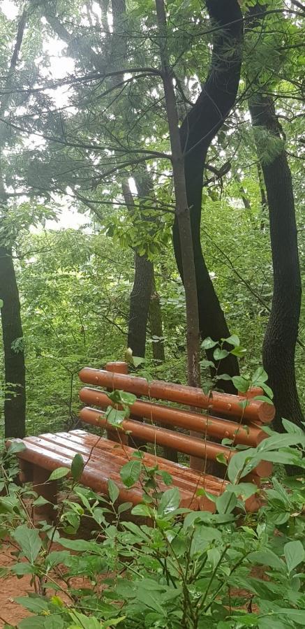 Homestay Yire House Seoul