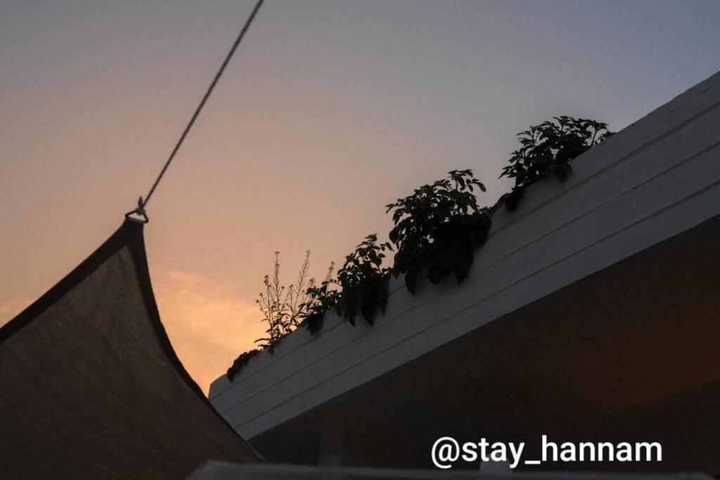 Carpediem Hannam