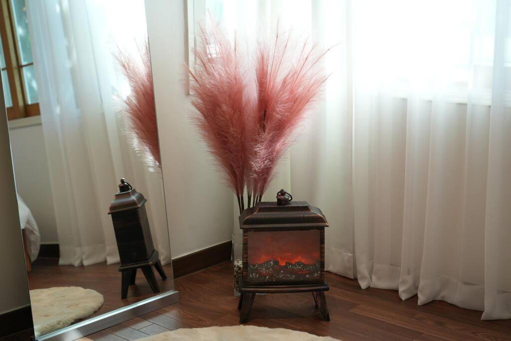 Vibe Healing House