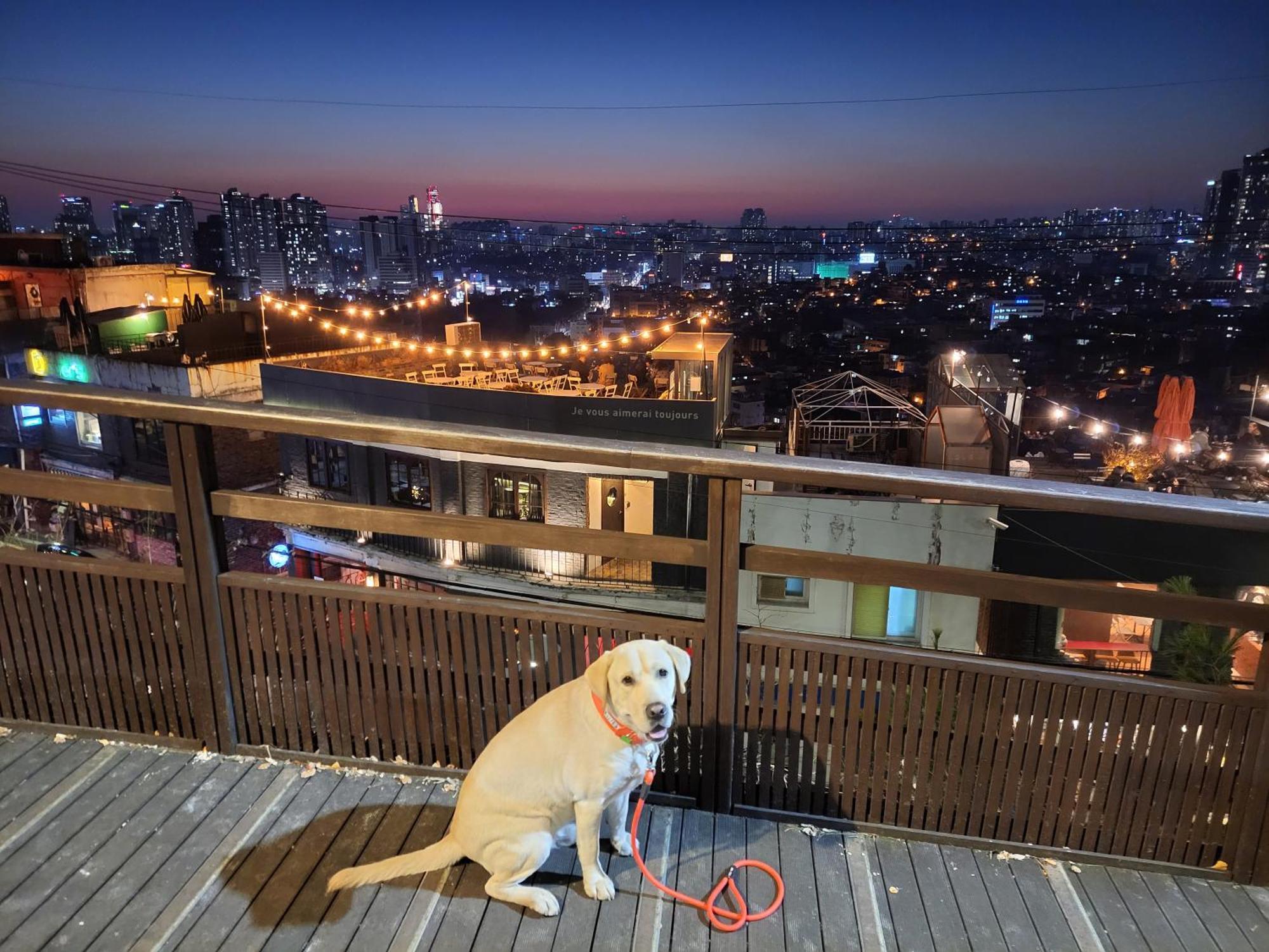 Apartment Spacious Master #5 Seoul