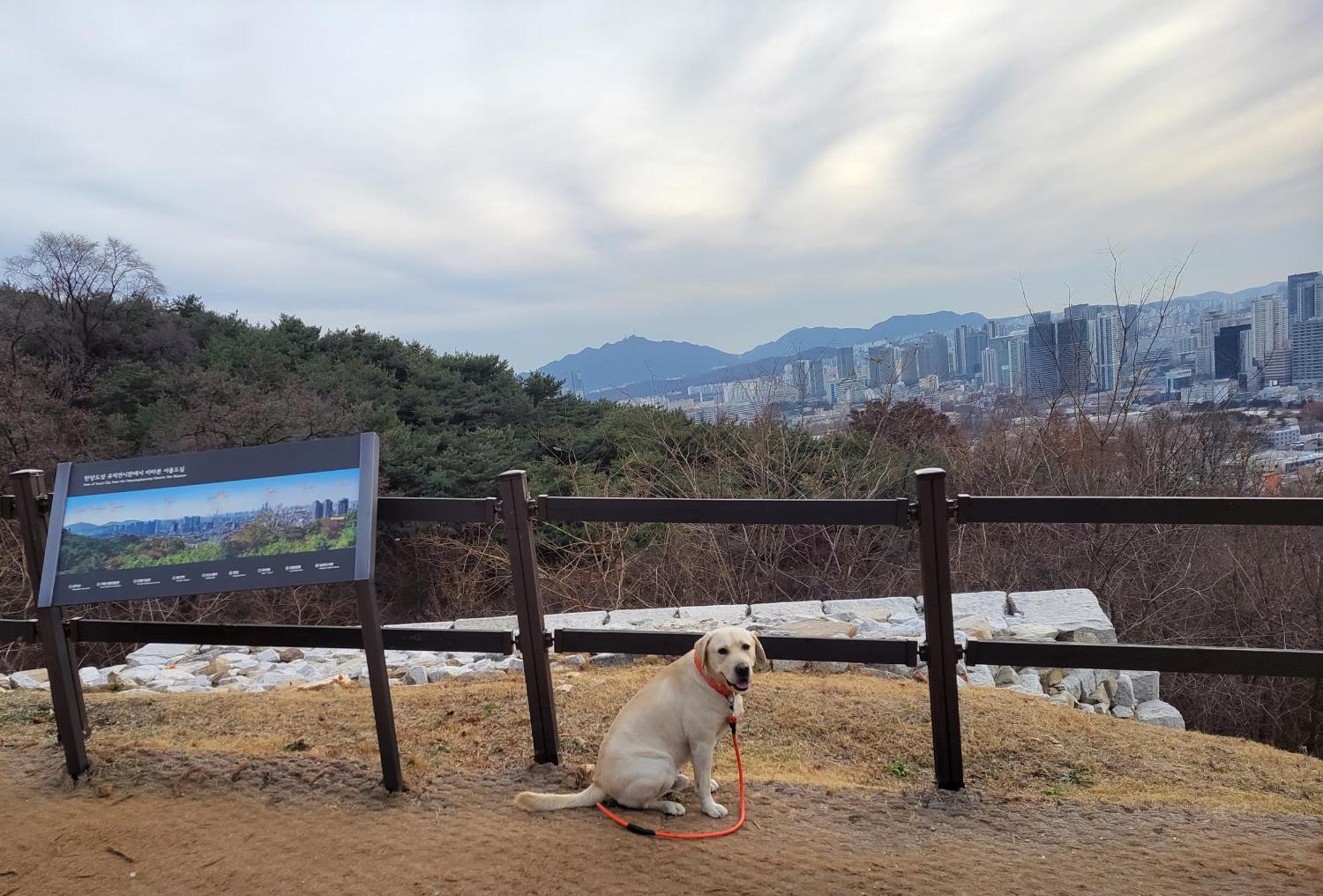 Apartment Spacious Master #5 Seoul