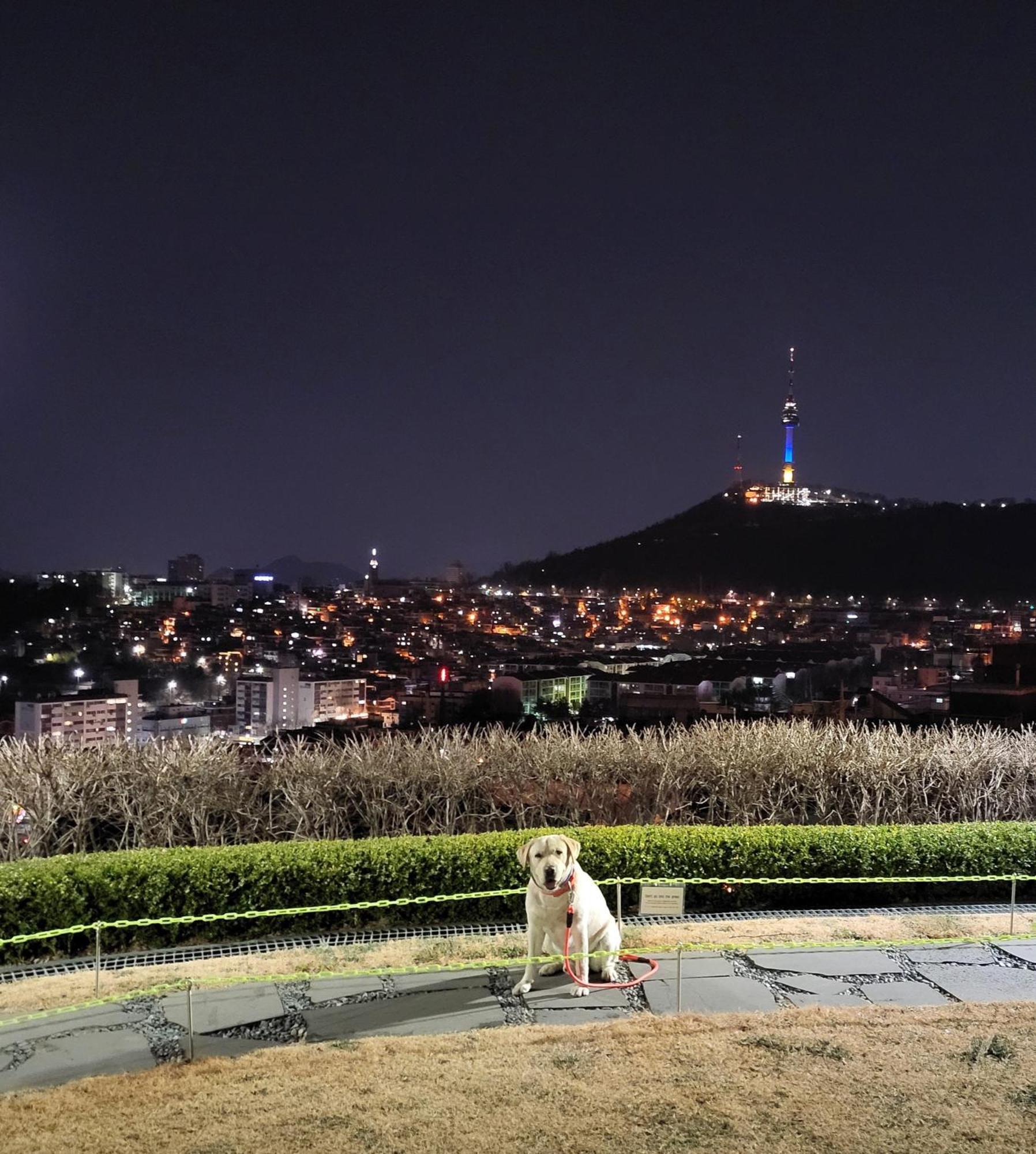 Apartment Spacious Master #5 Seoul