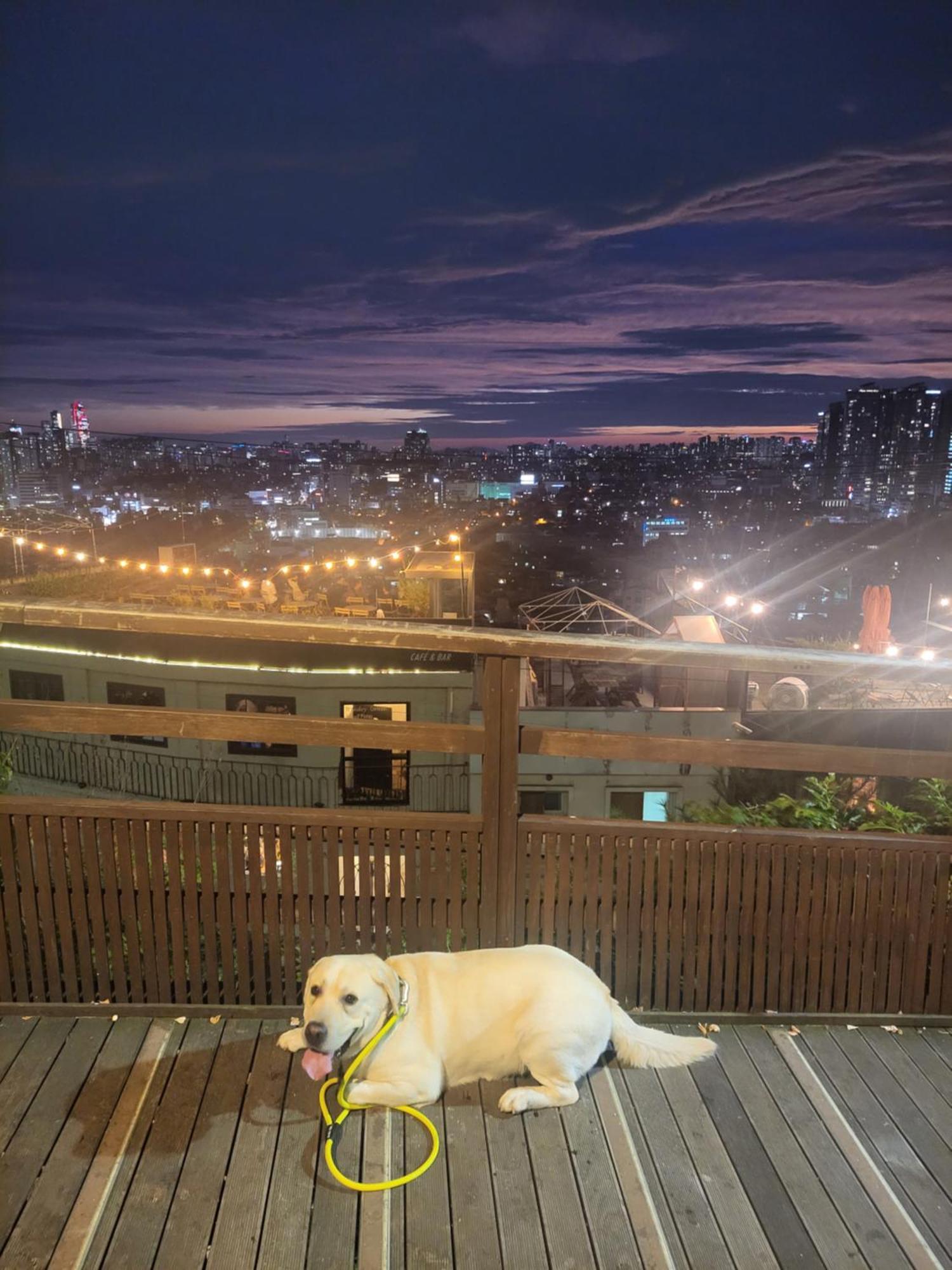 Cozy Private Newly Renovated #3 * Seoul