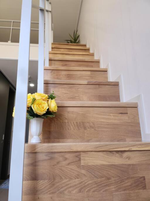 Apartment Lc Loft City House *